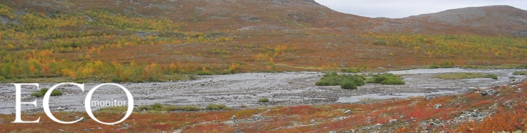 Ruska-Zeit in Lappland