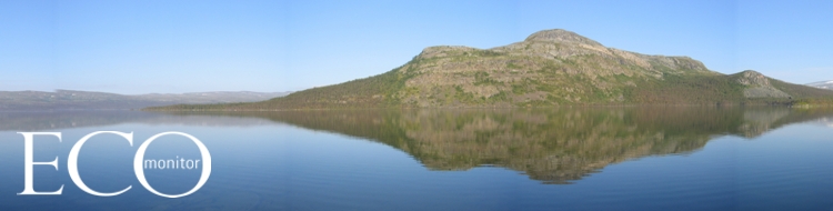 Ecomonitor